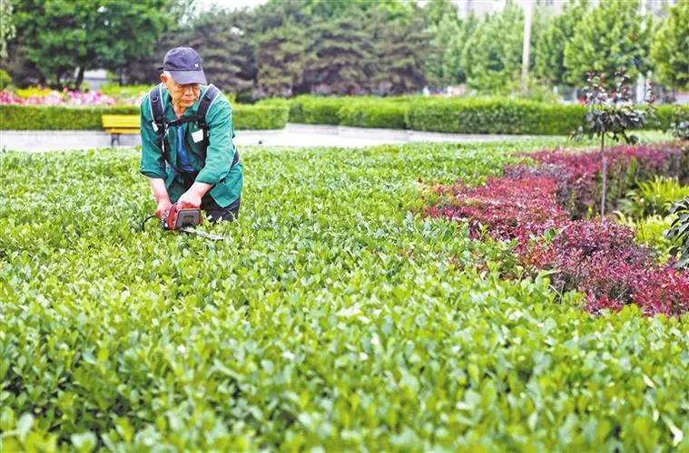 實施園林綠化養(yǎng)護(hù) 促進(jìn)植物健康生長