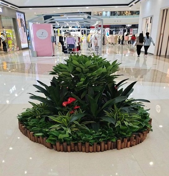 什么樣的綠植適合商場租賃擺放